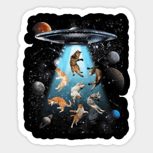 Cutest cats swiming in a galaxy Sticker